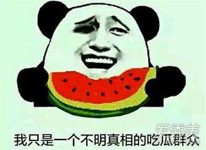 座等吃瓜是什么意思,揭秘网络流行语的趣味与内涵